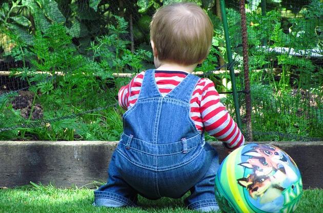 幼儿园科学育儿知识：如何选择适合3-6岁孩子的趣味科学内容，激发探索欲