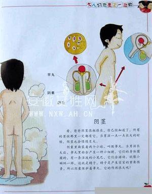 育儿知识图文并茂：让复杂育儿变简单，新手父母轻松上手